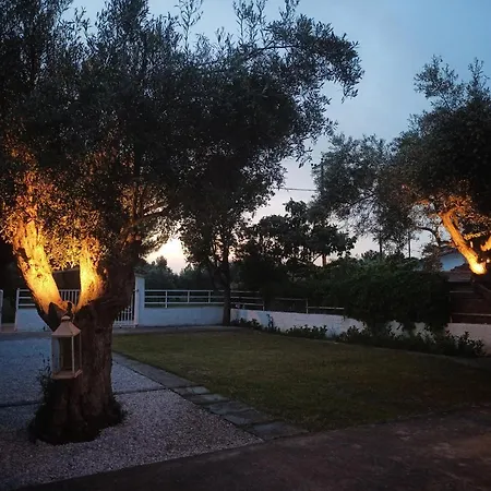 Alykesbeachhouse * دروسيا
